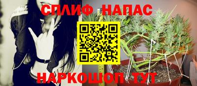 спиды Донской