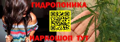 спиды Донской