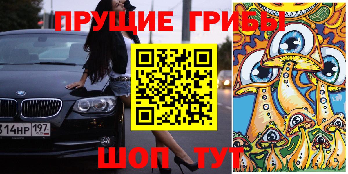купить наркотики цена  Псилоцибиновые грибы MAGIC MUSHROOMS  Вичуга  Вход с VPN  Галлюциногенные грибы GOLDEN TEACHER 