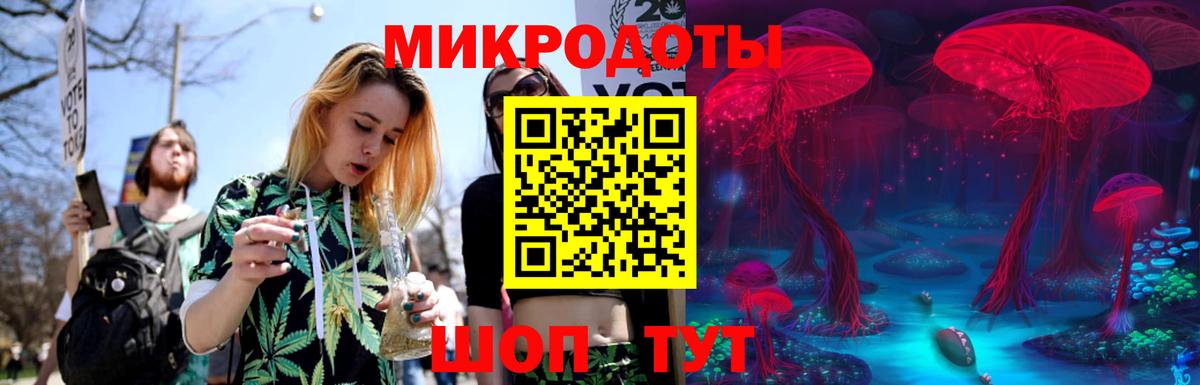 Галлюциногенные грибы Psilocybe Вичуга